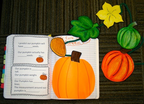 our_pumpkin.jpg