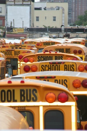school-bus-300.jpg