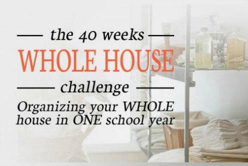 40_weeks_whole_house_challenge_490.jpg